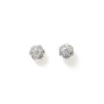 Calista Floral-Cluster Studs