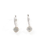 Isla Floral-Drop Hoops